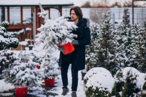 How to Prepare Your Garden For Winter Weather