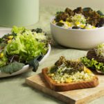 Top Plant Based Diet Tips For A Healthy Life