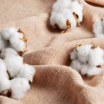Why Cotton Fabrics Are Still The Best Choice For Everyone